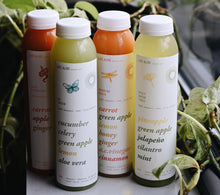 Load image into Gallery viewer, 4-Pack Cold Pressed Juice
