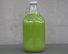 Load image into Gallery viewer, Spicy Green Tonic - 64oz
